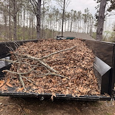 Leaf-Cleanup-and-Removal-in-Oxford-MS 9